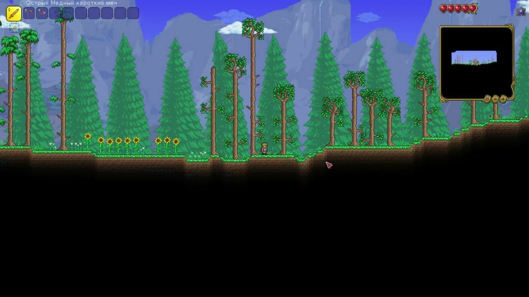 Terraria