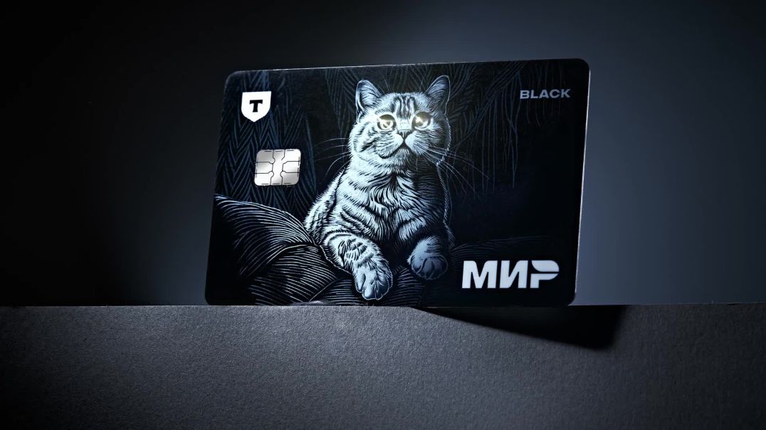 mp4